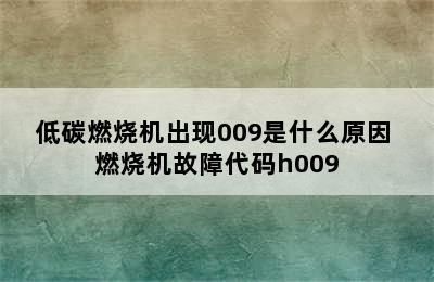 低碳燃烧机出现009是什么原因 燃烧机故障代码h009